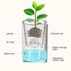 Boho Style Self Watering Flowerpot Transparent Transparent Cylinder Vase  Succulents