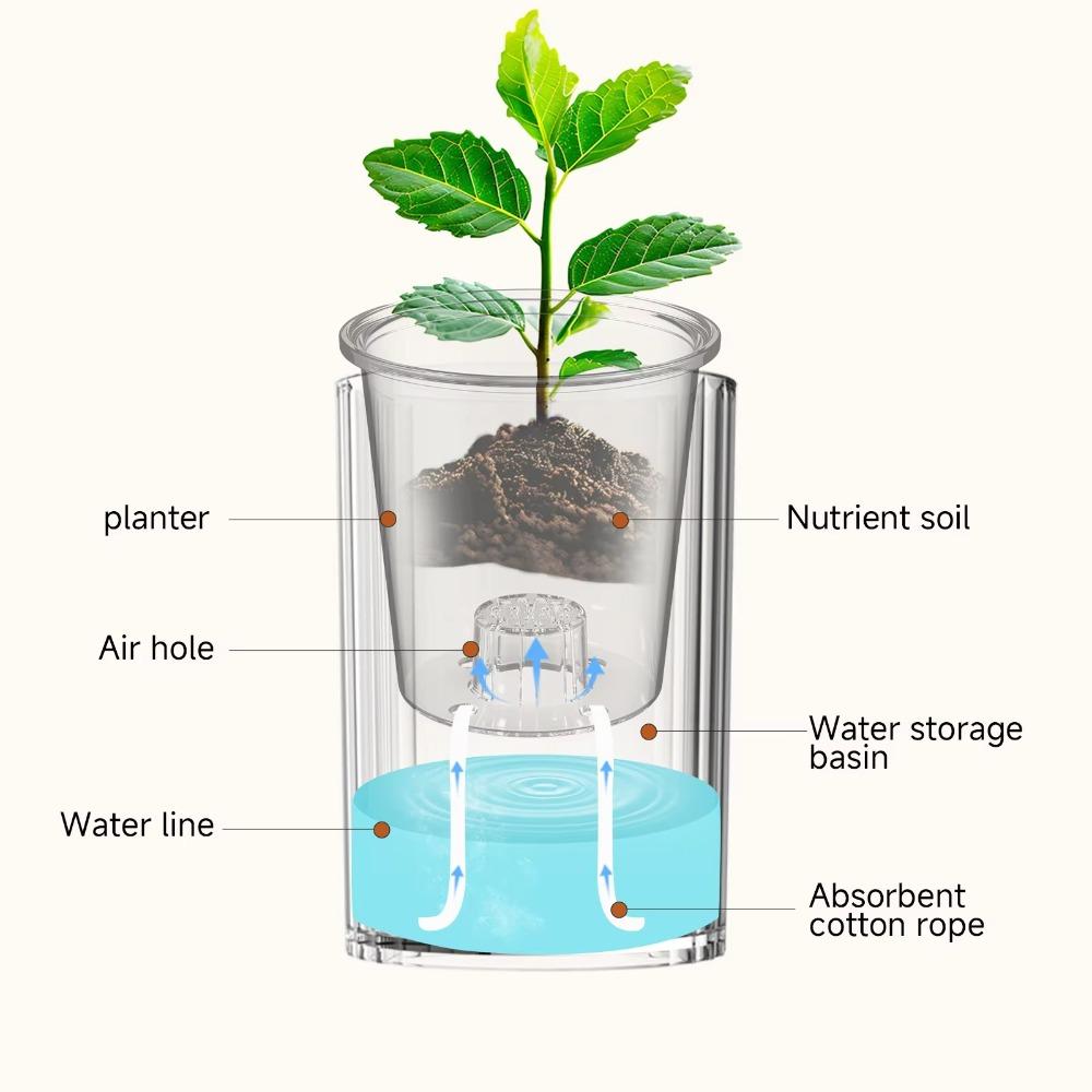 Boho Style Self Watering Flowerpot Transparent Transparent Cylinder Vase Succulents