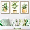 Kaktus-Grün-Poster, botanisches Monstera-Blatt, Leinwandgemälde, Drucke, Zimmerpflanze, Wandkunst, Bilder für Wohnzimmer, Heimdekoration