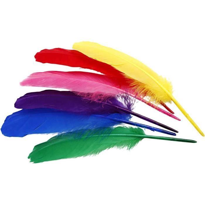 Plumes de qualité - Réf 51818 - Couleurs vives - Paquet de 6 couleurs différentes