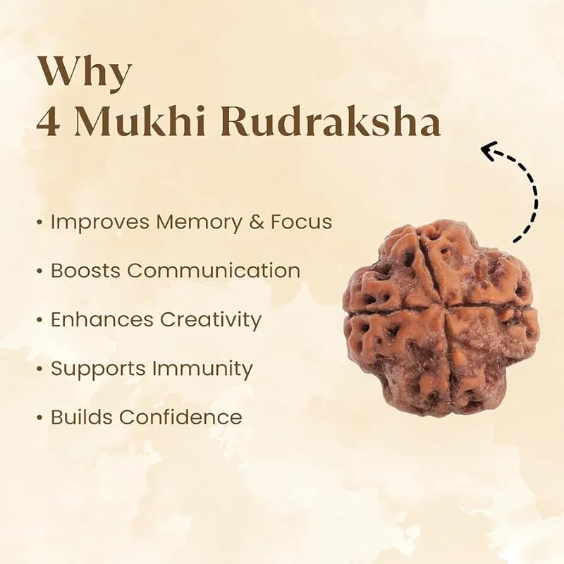 Astrotalk Nepal Origin 4 Mukhi Rudraksha | Boost Creativity & Intellectual Growth | Clarity, Confidence & SelfExpressio