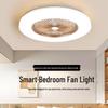 Modern Minimalist Smart Ceiling Fan Light