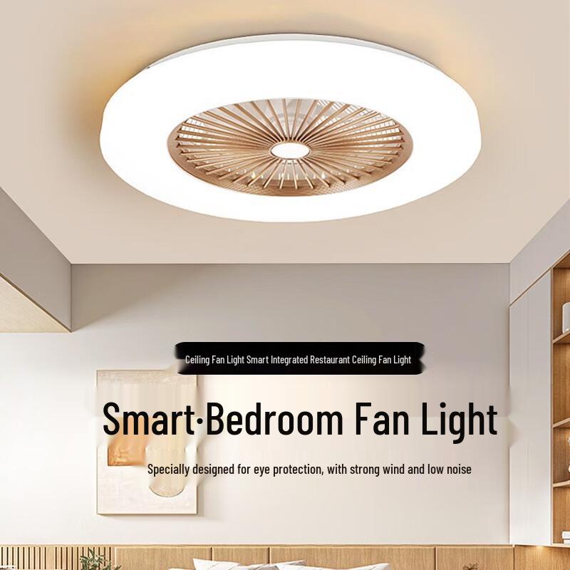 Modern Minimalist Smart Ceiling Fan Light