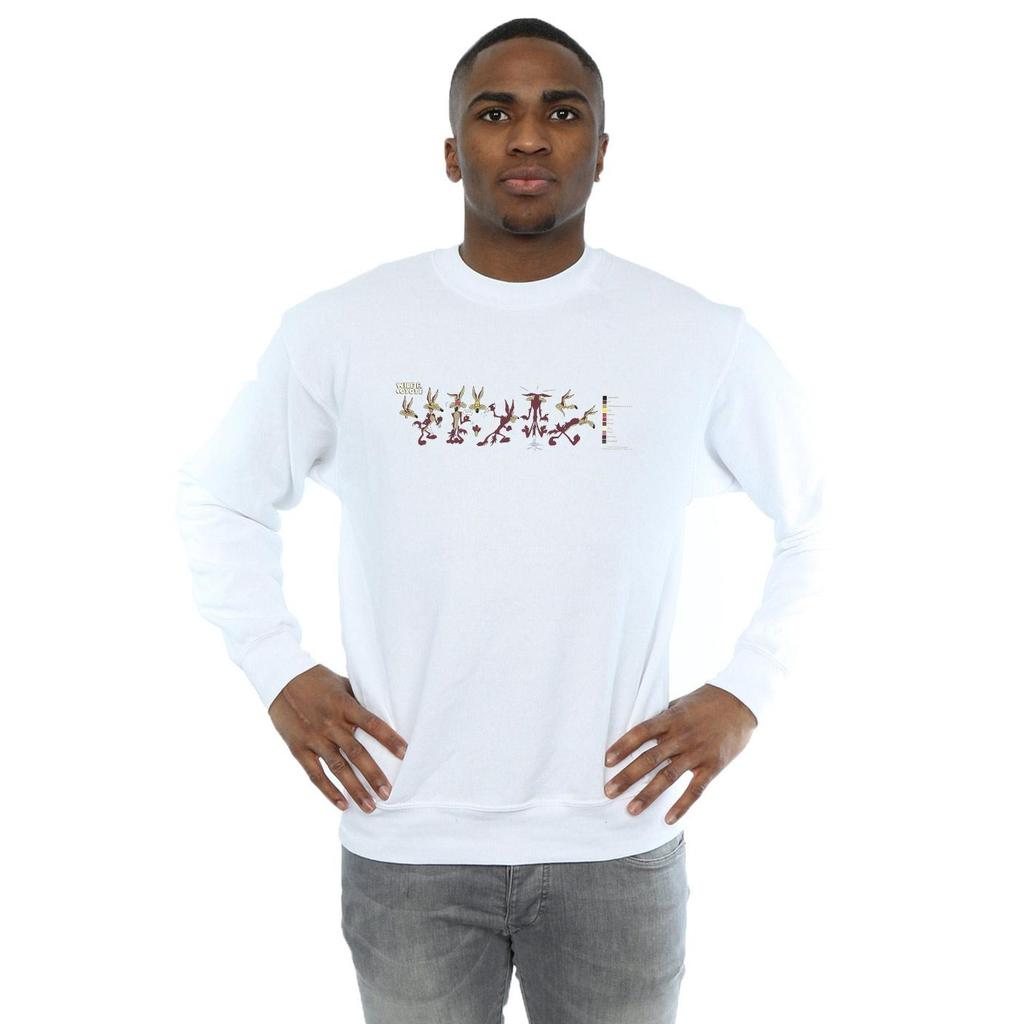Looney Tunes Mens Wile E Coyote Colour Code Sweatshirt