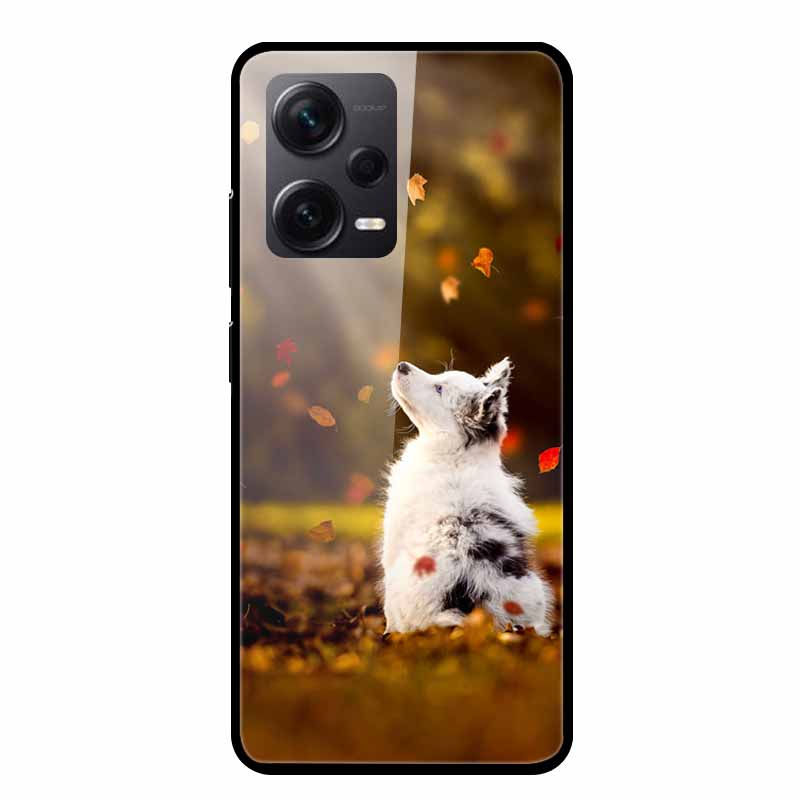 Tempered Glass Cases For Redmi Note 12 Pro Plus 5G Covers Note12 Hard Back Covers for Xiaomi Redmi Note 12 Pro Capas Protective