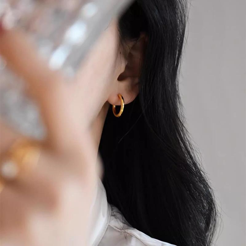 

18K Gold-Plated Titanium Steel Couple s Earrings: Neutral Hoops, Studs, and Clips