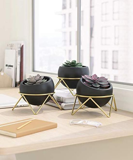 Umbra Potsy Planter 3pcs Set Black x Gold Planter Pot Pot Houseplant Gardening 210131911137 Black x Gold