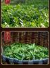 Xiaocha Diary Phoenix Single Pine Duck Shit Fragrance Oolong Tea Canned 250g