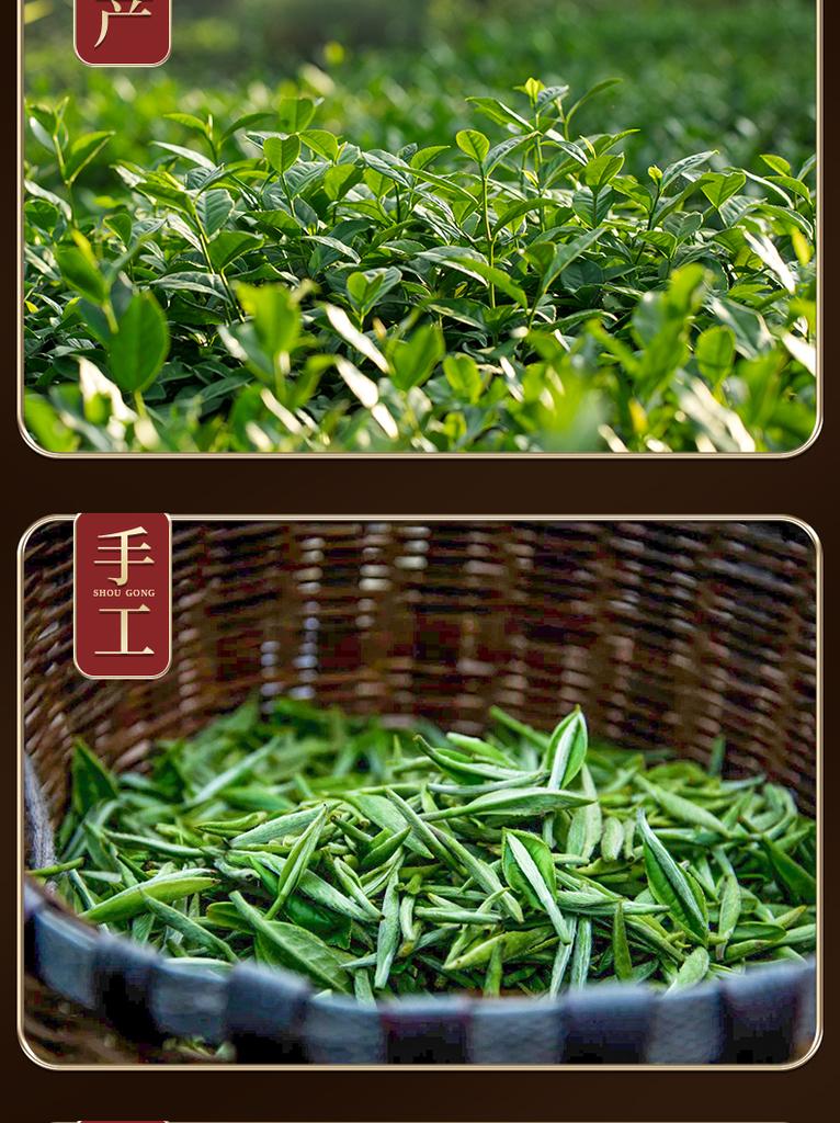 Xiaocha Diary Phoenix Single Pine Duck Shit Fragrance Oolong Tea Canned 250g
