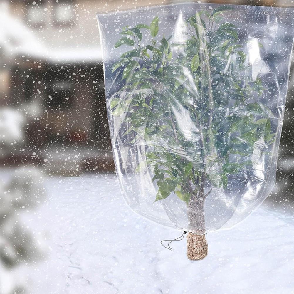 Transparent Plastic Winter Cover for Flower Pots Suitable Sizes 60 200cm
