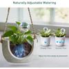 2pcs Clear Glass Plant Watering Globes Rainbow Gradient Self Watering Globes Automatic Plant Waterer Self Watering Planter Insert Spikes Devices