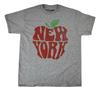 Fifth Sun Youth NYC New York City Big Apple Shirt New 6-7, 8, 10-12, 14-16