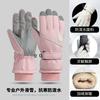 Ski Gloves Women's 2026 New Autumn and Winter Velvet Thickened Warm and Cold Touch Screen Electric Vehicle Riding Gloves