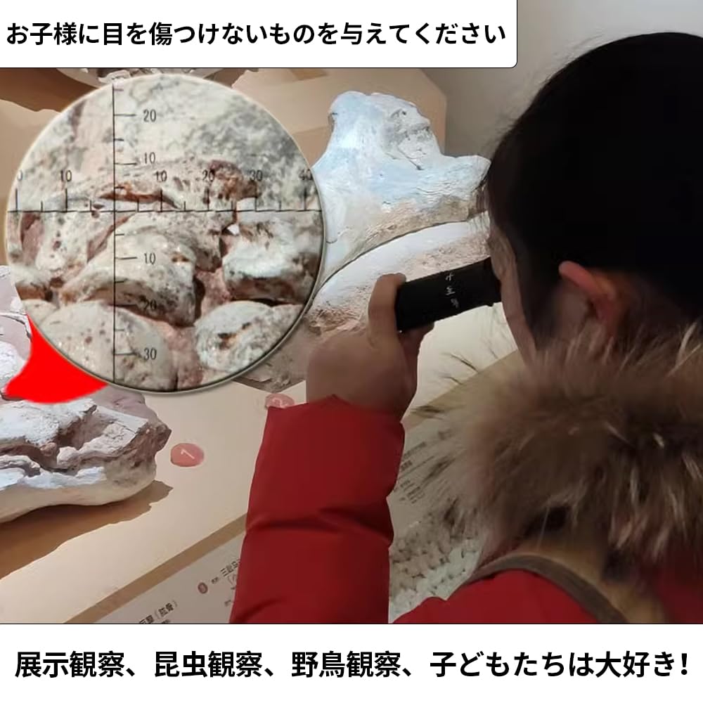 4x12" Museum Monocular, 4x Magnification, Compact, Museum Model, Art Appreciation Monocular, Glasses Compatible, Case and Strap Included (4x12)