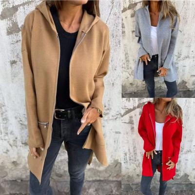 2025 Herbst Winter Damen Einfarbig Lässige Kapuzenjacke mit Reißverschluss