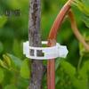 100/200/300 Pcs Plant Clips Plastic Plant Support Clips Reusable Tomato Trellis Clips for Climbing Plants Vines Cucumbers Indoor Outdoor Use