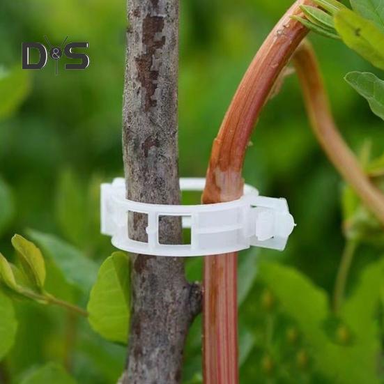 100/200/300 Pcs Plant Clips Plastic Plant Support Clips Reusable Tomato Trellis Clips for Climbing Plants Vines Cucumbers Indoor Outdoor Use