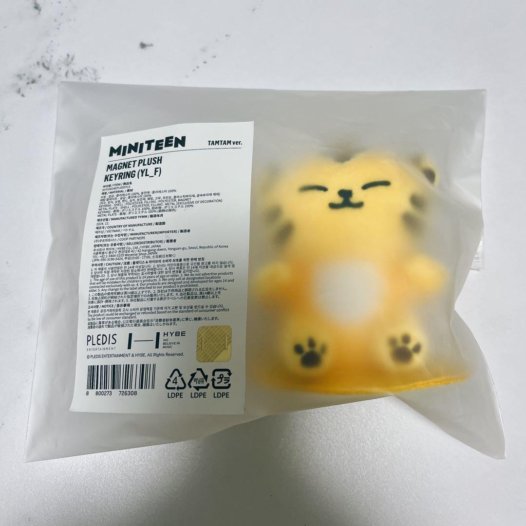 

[USED] SEVENTEEN MINITEEN Magnet Key Ring Star