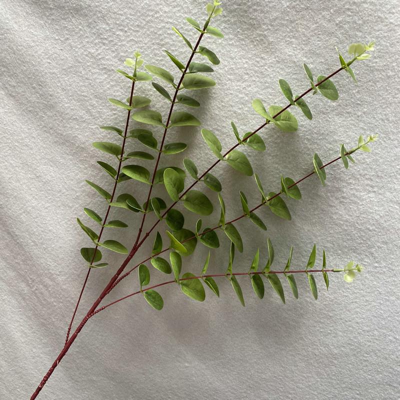 3d Printed Money Leaf Artificial Plant With Vibrant Colors For Living Room Decor