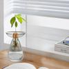 Creative Transparent Long Oval Avocado Hydroponic Vase Avocado Seeds Hydroponic Vessel Flower Pot for Gardening Home Decor