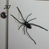 Iron Surface Decorative Gadgets Realistic 3D Spider Refrigerator Magnet, Insect Magnet for Kitchen Fridge Office Whiteboard Magnets Whiteboard,