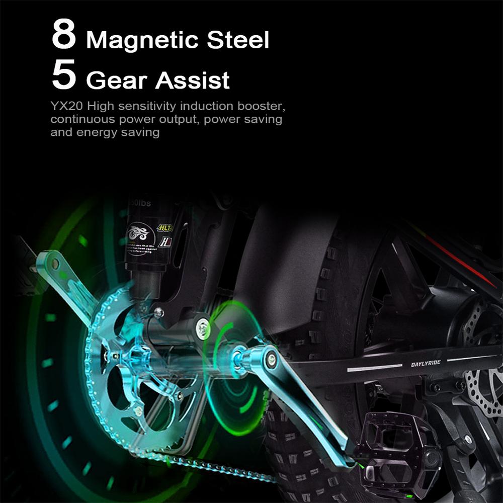 RANDRIDE Bicicletă electrică pliabilă 20*4.0 anvelope late Frâne pe disc duble Bicicletă electrică motor 1000W Suspensie completă bicicletă electrică YX20M