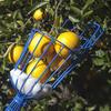 Testa Raccoglifrutta a Cesto Profondo Comodo Raccoglitore di Frutta Raccoglitore Mela Pesca Raccolta Fattoria Giardino Dispositivo di Raccolta Utensili da Giardino