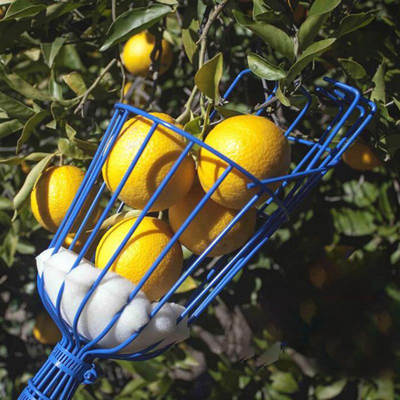 Testa Raccoglifrutta a Cesto Profondo Comodo Raccoglitore di Frutta Raccoglitore Mela Pesca Raccolta Fattoria Giardino Dispositivo di Raccolta Utensili da Giardino