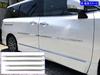 BRIGHTZ Elgrand E52 Chrom Seiten Türleiste x x PE52 PNE52 TE52 TNE52 PE PNE TE TNE 52 "90cm 2" "100cm 2" [SAI-MOL-9010]