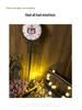 USB LED Twig Lights: 3 Branches, 60 Heads, Room & Holiday Decoration, Vase Tree Lights