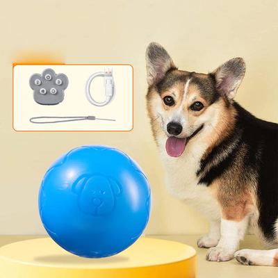 Köpek – Köpek oyuncakları