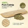 Pillow Toy Cats Catnips Encourages Play Durability Against Wear Tear Comfortable Lounges Easy Wipe Clean