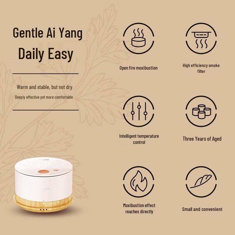 Breo A2 Portable Electronic Moxibustion Device CN plug (adapter included)