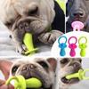 Pet Pacifier Rubber Toys Small Dogs Rubber Resistance To Bite Toy Dog Cat Chew Toys Pet Supplies Perros Accesorios