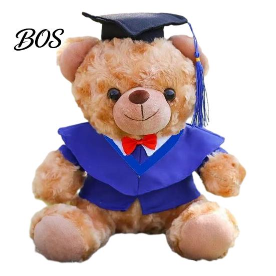 Luxury Gift Packaging Bear Personalized Graduation Gifts 2026 for Her, Cute Teddy with Embroidered Gown Award And Cap, Soft Plush Mascot College High