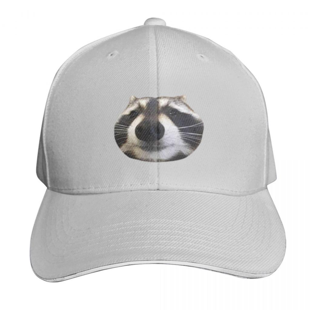 Funny Boy Raccoon Set Meme Pack () Baseball Cap Golf Hat Dropshipping Hat Luxury Brand Sun Hat Hats For Women Unisexs