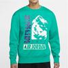 Jordan Air Jordan Mountainside Sweatshirts Men's Green Crew Neck Moderate Regular CT3492-370