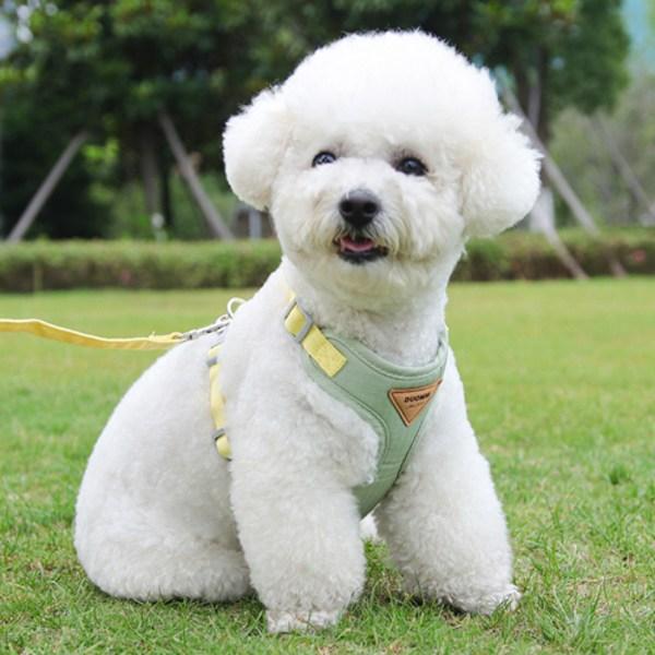 2 Artikel in 1 Set, ultraleichtes Geschirr-Leinen-Set, beige