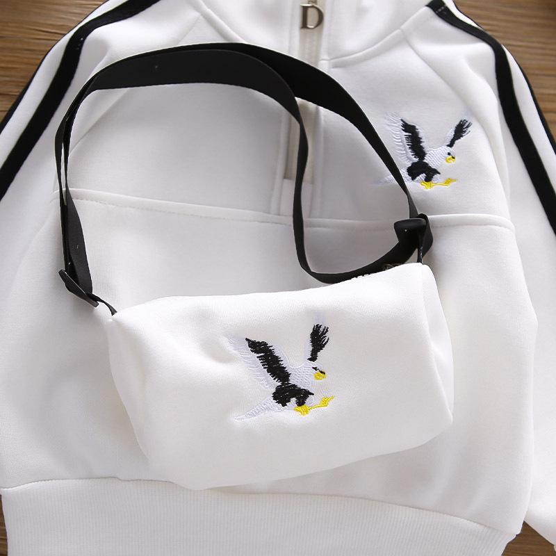 Boys' Trendy Two-Piece Autumn Set: Long Sleeve, Stand-up Collar, Zip-Up Pullover