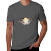 Ghostly Silkmoth Ceranchia Apollina Tshirt Dry Fit Athletic Short Sleeve Shirt