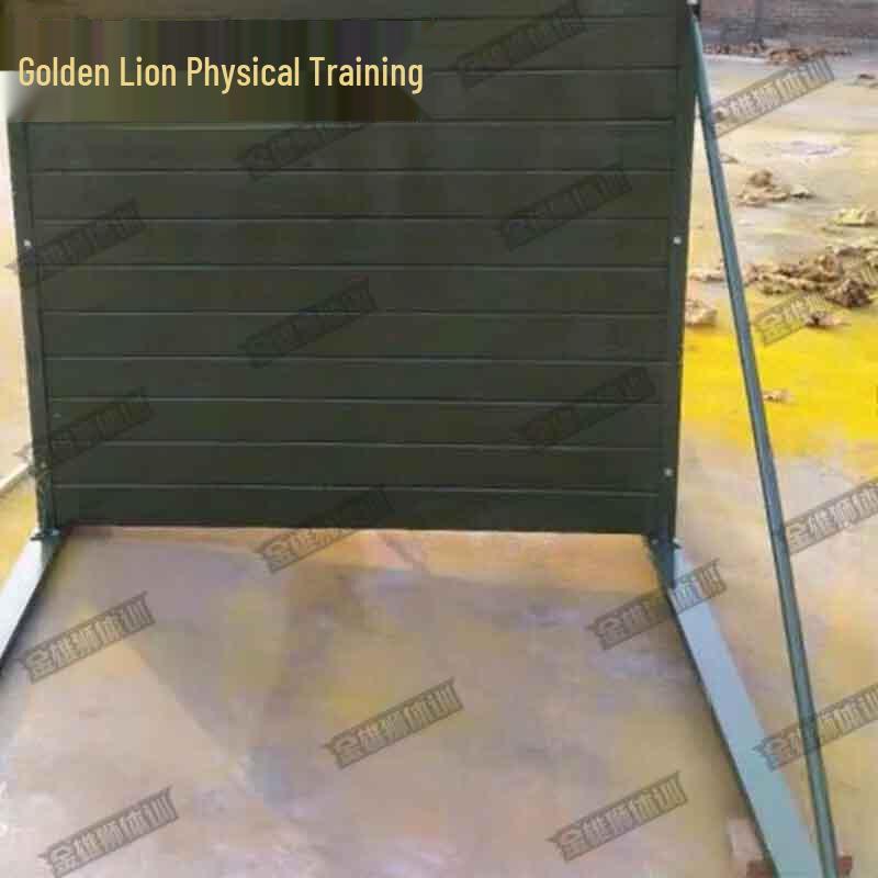 Golden Lion Fitness Training Equipment
