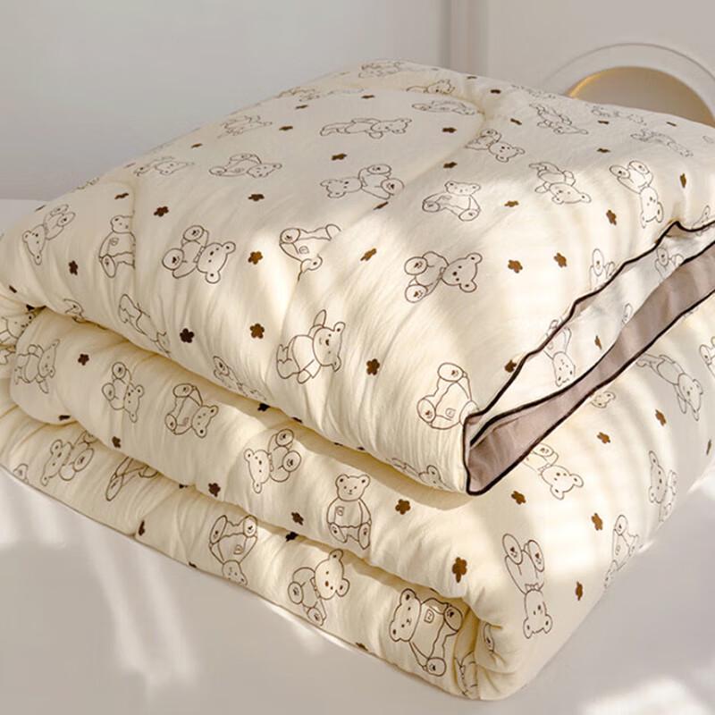Nanjiren Class A Antibacterial Heavy Winter Duvet