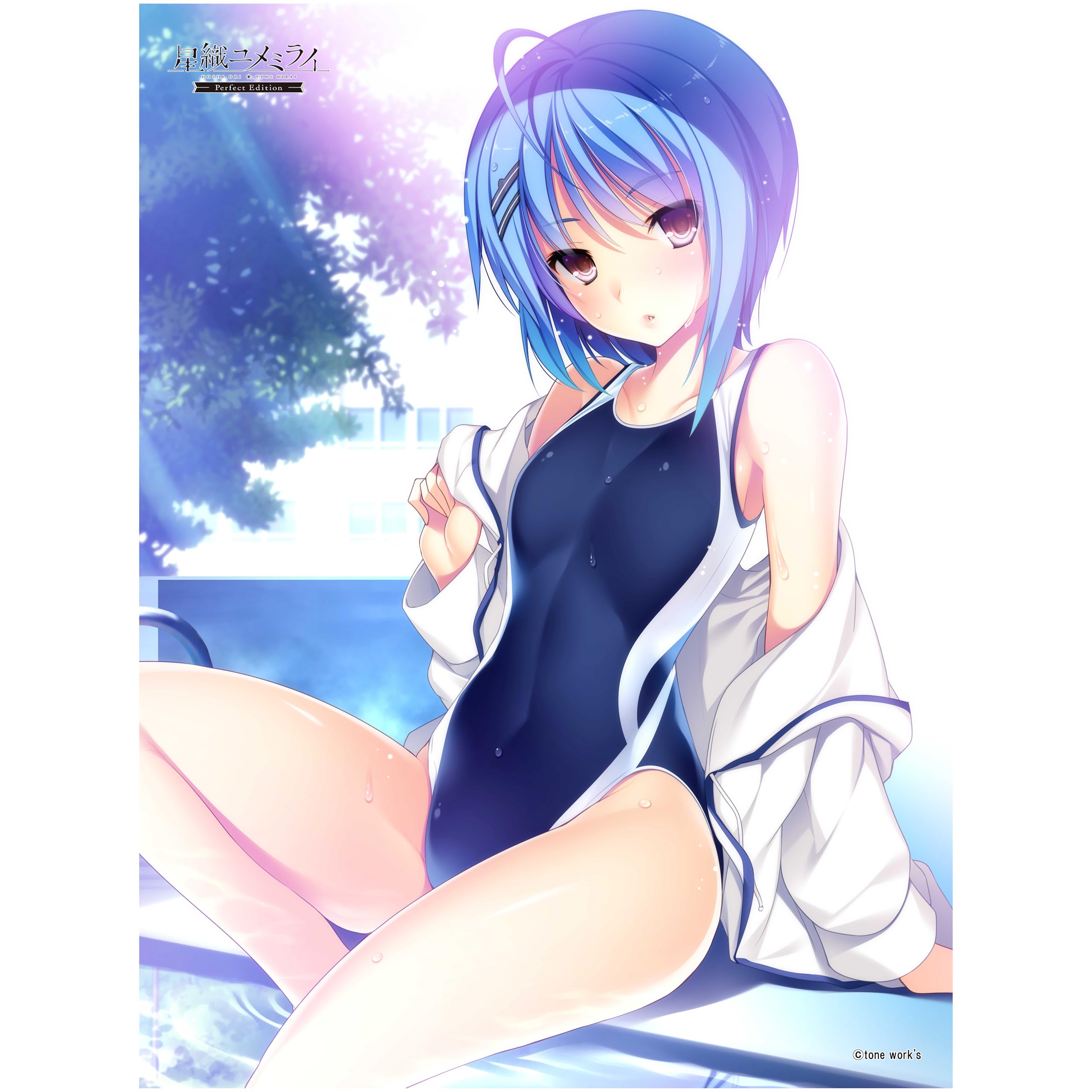 

Yume 2024 Extra Large Fluffy Blanket C Hoshiori Mirai