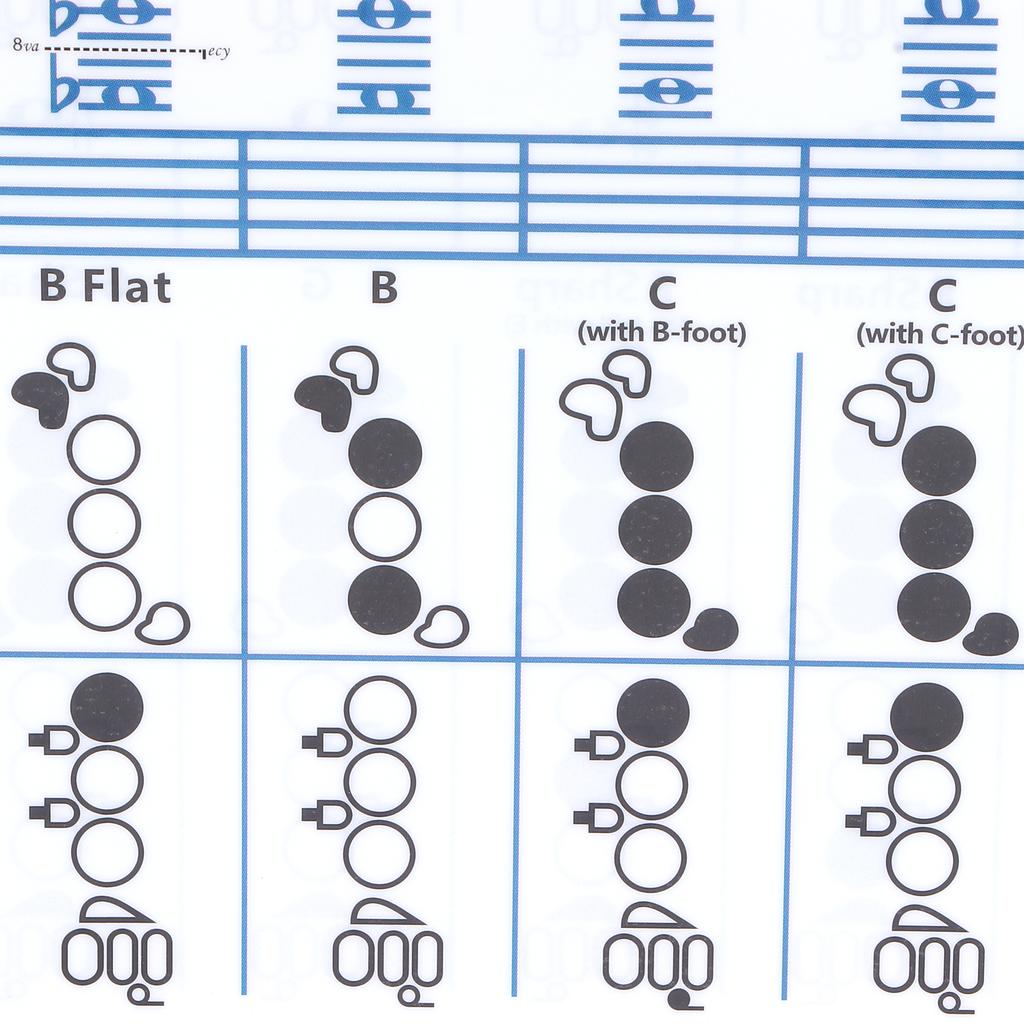Diagramma Accordi Dita Flauto Studente Principiante Ausili Didattici per la Pratica Accessori Strumento