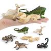 Wild Animal Model Pvc Figurine For Childrens Educational Decor And Collecting