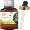 Levenmooi Juniper Leaf (Juniperus Communis) Pure & Natural Therapeutic Grade Essential Oil Glass