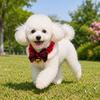 Dog Scarf New Year Christmas Festive Holiday Costume Autumn Winter Warm Neck Protecting Neck Collar Pet Supplies