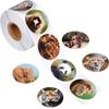 500pcs Zoo Animals Cartoon Stickers for Kids