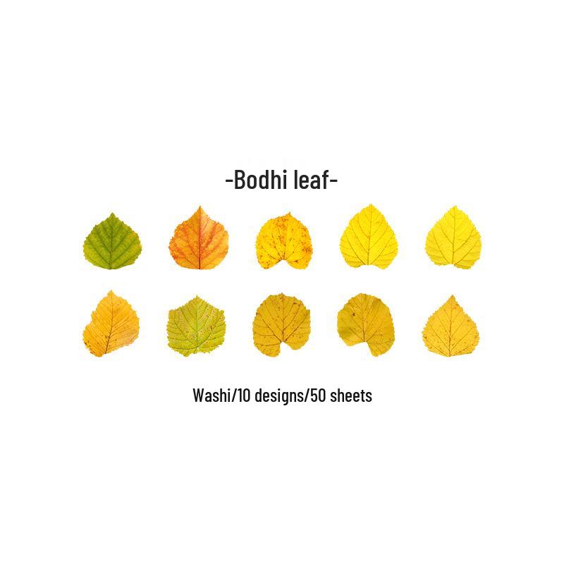 Champs-Élysées Maple Fallen Leaves Washi Tape