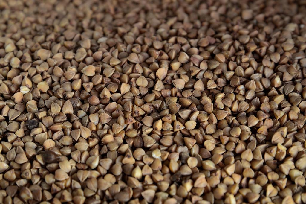 Buckwheat ECO 100g Vegetable Seeds for the Garden, Large Yields